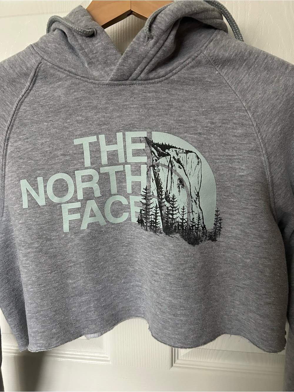 The North Face Heather Gray Pullover Hoodie with Mint Logo